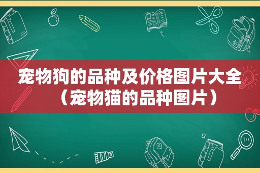 宠物狗的品种及价格图片大全（宠物猫的品种图片）