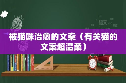 被猫咪治愈的文案（有关猫的文案超温柔）