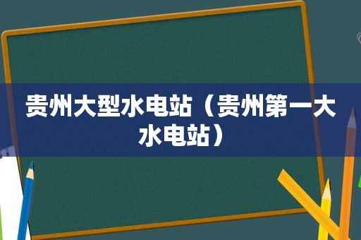 贵州大型水电站（贵州第一大水电站）