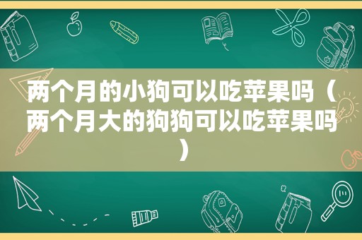 两个月的小狗可以吃苹果吗（两个月大的狗狗可以吃苹果吗）