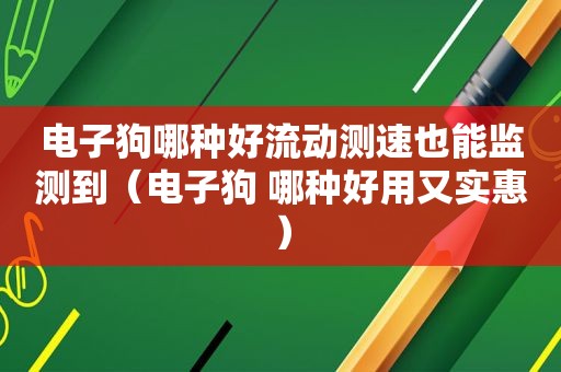 电子狗哪种好流动测速也能监测到（电子狗 哪种好用又实惠）