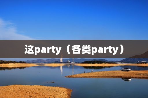 这party（各类party）