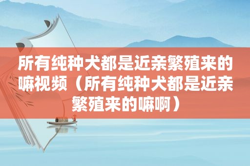 所有纯种犬都是近亲繁殖来的嘛视频（所有纯种犬都是近亲繁殖来的嘛啊）