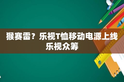 猴赛雷？乐视T恤移动电源上线乐视众筹