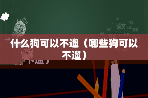 什么狗可以不遛（哪些狗可以不遛）