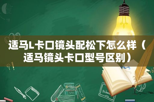 适马L卡口镜头配松下怎么样（适马镜头卡口型号区别）