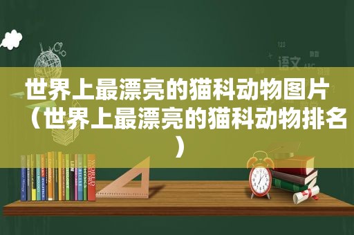 世界上最漂亮的猫科动物图片（世界上最漂亮的猫科动物排名）  第1张