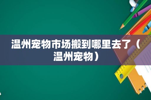 温州宠物市场搬到哪里去了（温州宠物）