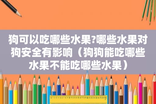 狗可以吃哪些水果?哪些水果对狗安全有影响（狗狗能吃哪些水果不能吃哪些水果）