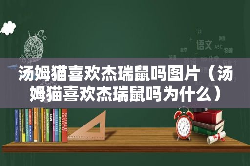 汤姆猫喜欢杰瑞鼠吗图片（汤姆猫喜欢杰瑞鼠吗为什么）