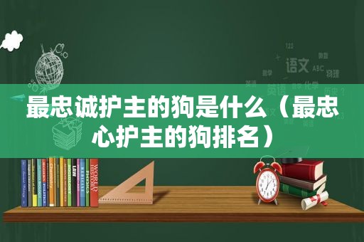 最忠诚护主的狗是什么（最忠心护主的狗排名）