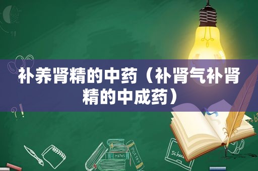 补养肾精的中药（补肾气补肾精的中成药）