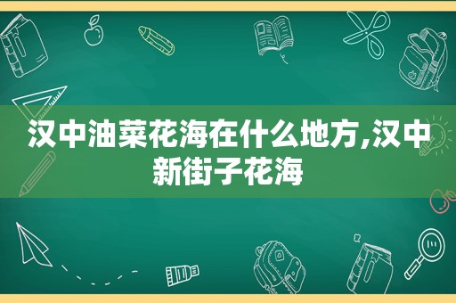 汉中油菜花海在什么地方,汉中新街子花海