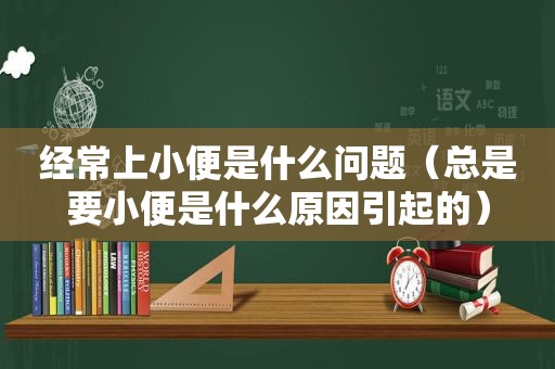 经常上小便是什么问题（总是要小便是什么原因引起的）