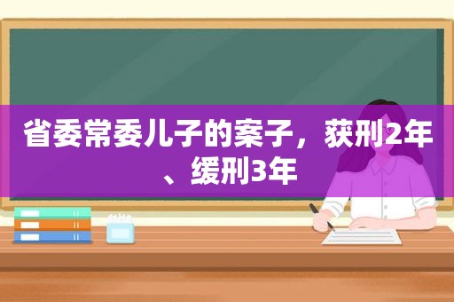 省委常委儿子的案子，获刑2年、缓刑3年