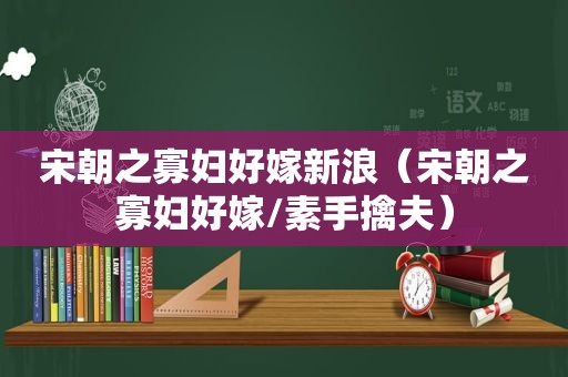 宋朝之寡妇好嫁新浪（宋朝之寡妇好嫁/素手擒夫）