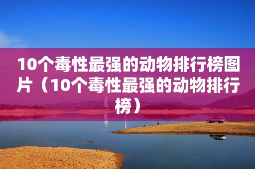 10个毒性最强的动物排行榜图片（10个毒性最强的动物排行榜）  第1张