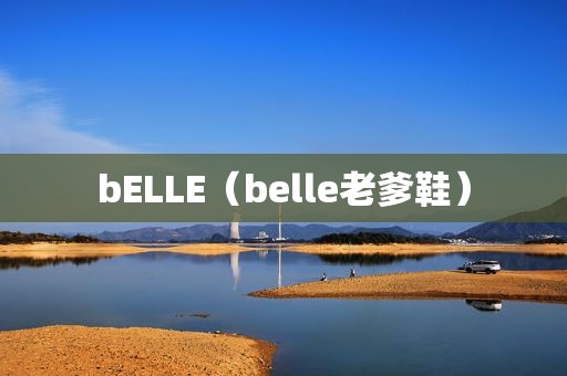 bELLE（belle老爹鞋）