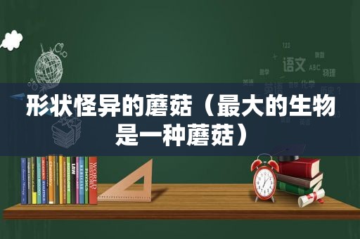 形状怪异的蘑菇（最大的生物是一种蘑菇）