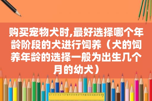 购买宠物犬时,最好选择哪个年龄阶段的犬进行饲养（犬的饲养年龄的选择一般为出生几个月的幼犬）