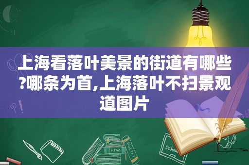 上海看落叶美景的街道有哪些?哪条为首,上海落叶不扫景观道图片