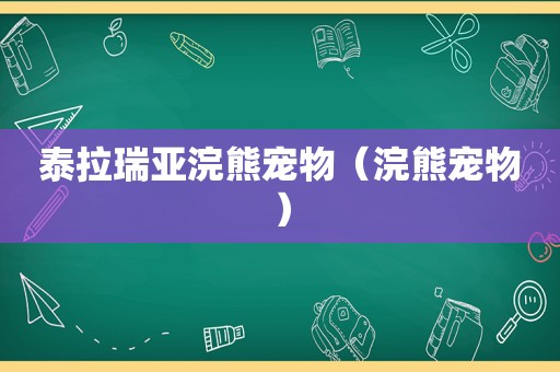 泰拉瑞亚浣熊宠物（浣熊宠物）