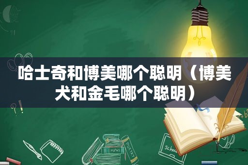 哈士奇和博美哪个聪明（博美犬和金毛哪个聪明）