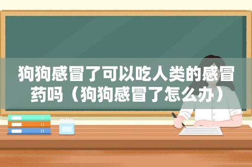 狗狗感冒了可以吃人类的感冒药吗（狗狗感冒了怎么办）