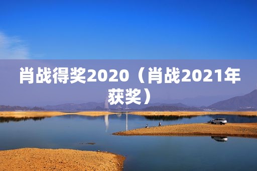 肖战得奖2020（肖战2021年获奖）