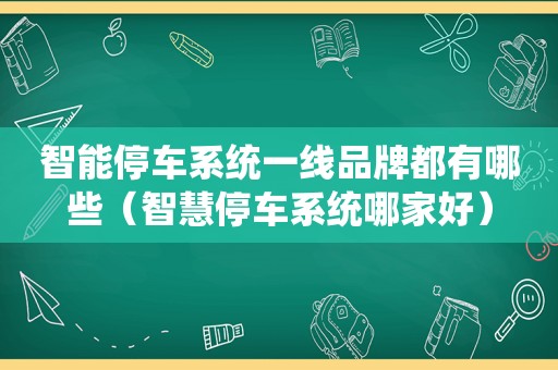 智能停车系统一线品牌都有哪些（智慧停车系统哪家好）