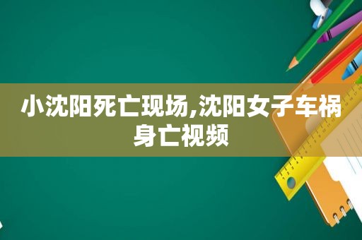 小沈阳死亡现场,沈阳女子车祸身亡视频