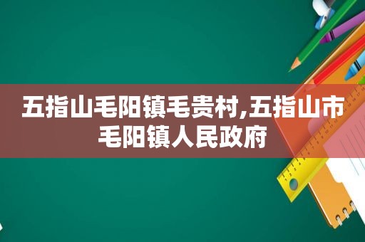 五指山毛阳镇毛贵村,五指山市毛阳镇人民 ***   第1张