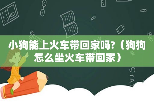 小狗能上火车带回家吗?（狗狗怎么坐火车带回家）