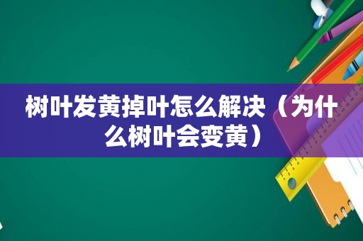 树叶发黄掉叶怎么解决（为什么树叶会变黄）