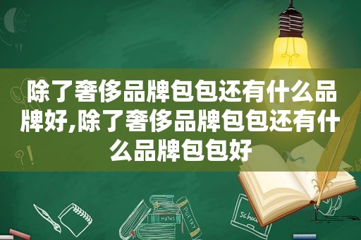 除了奢侈品牌包包还有什么品牌好,除了奢侈品牌包包还有什么品牌包包好