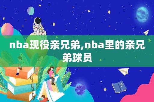 nba现役亲兄弟,nba里的亲兄弟球员