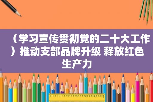 （学习宣传贯彻党的二十大工作）推动支部品牌升级 释放红色生产力