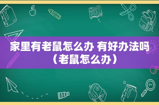 家里有老鼠怎么办 有好办法吗（老鼠怎么办）