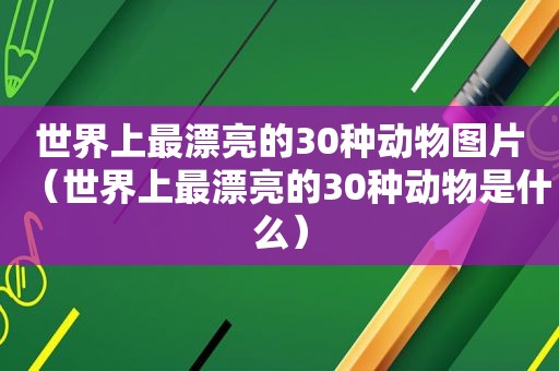 世界上最漂亮的30种动物图片（世界上最漂亮的30种动物是什么）