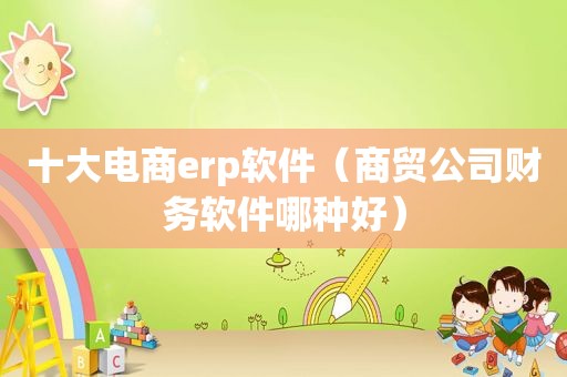 十大电商erp软件（商贸公司财务软件哪种好）