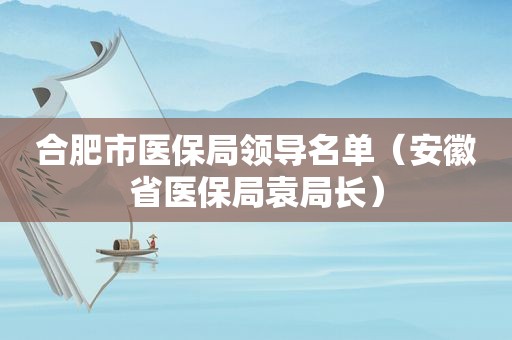 合肥市医保局领导名单（安徽省医保局袁局长）