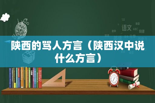 陕西的骂人方言（陕西汉中说什么方言）  第1张