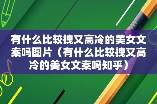 有什么比较拽又高冷的美女文案吗图片（有什么比较拽又高冷的美女文案吗知乎）