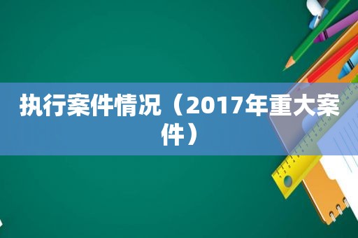 执行案件情况（2017年重大案件）