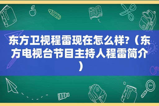 东方卫视程雷现在怎么样?（东方电视台节目主持人程雷简介）