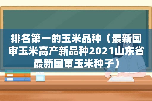 排名第一的玉米品种（最新国审玉米高产新品种2021山东省最新国审玉米种子）