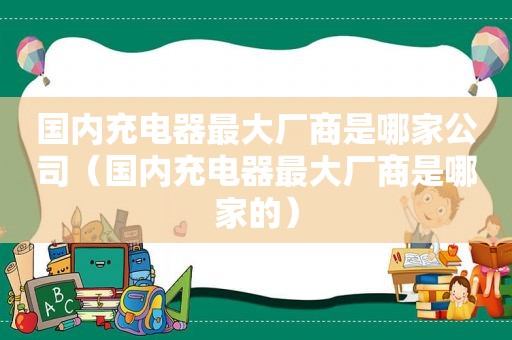 国内充电器最大厂商是哪家公司（国内充电器最大厂商是哪家的）