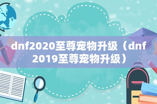 dnf2020至尊宠物升级（dnf2019至尊宠物升级）