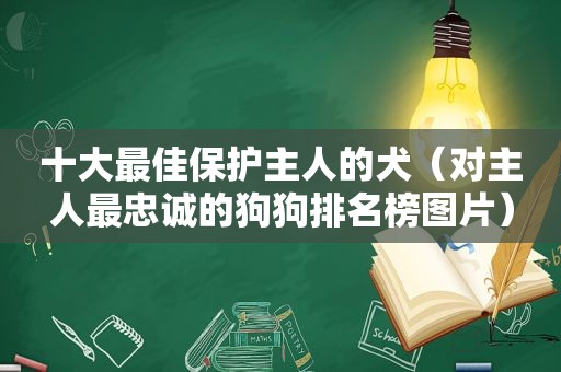 十大最佳保护主人的犬（对主人最忠诚的狗狗排名榜图片）