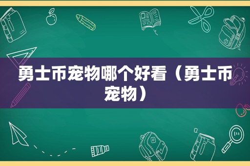 勇士币宠物哪个好看（勇士币宠物）